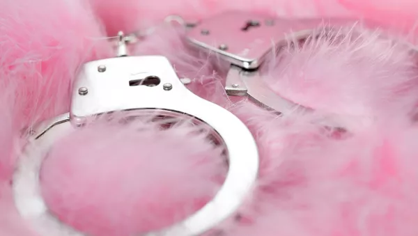 美しく、狂暴　最もセクシーな女性犯罪者３人【写真】 - Sputnik 日本