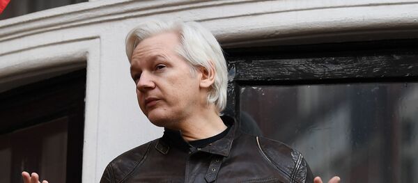 アサンジ氏 米民主党の崩壊を予言 アサンジ氏 米民主党の崩壊を予言 - Sputnik 日本