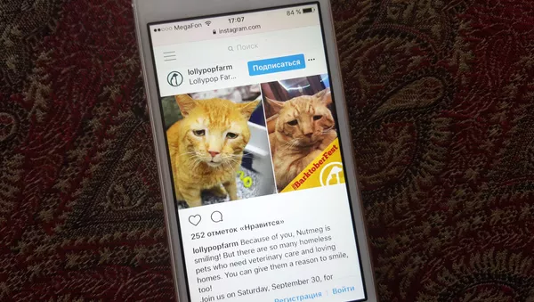 世界で一番悲しいネコ　飼い主を見つけた日、初めてニッコリ【写真】 - Sputnik 日本
