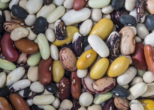 豆 - Sputnik 日本