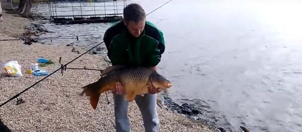 釣り人、記念撮影の最中に巨大なコイに逃げられる - Sputnik 日本