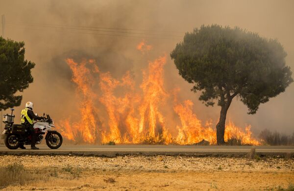スペイン南部の森林火災。 - Sputnik 日本