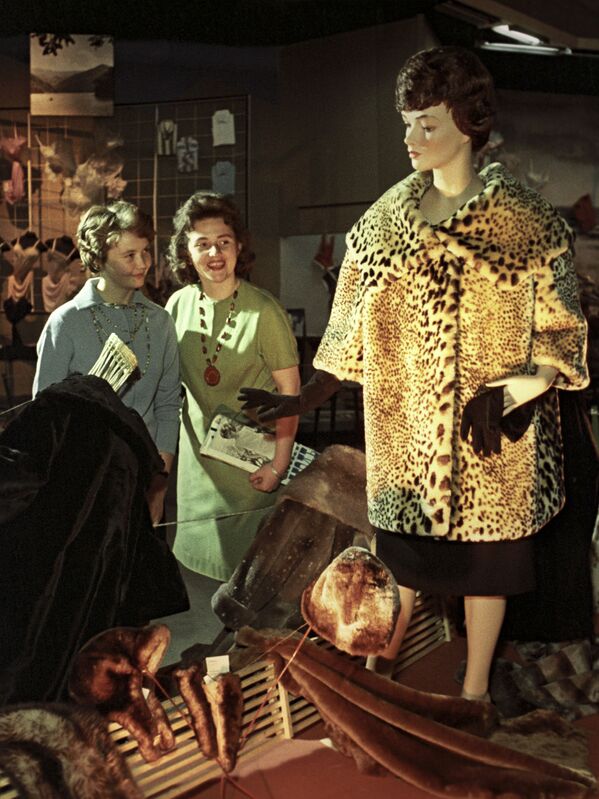 展示会のウィンドーに飾られた毛皮のコートを見る女性たち。モスクワ、1962年 - Sputnik 日本