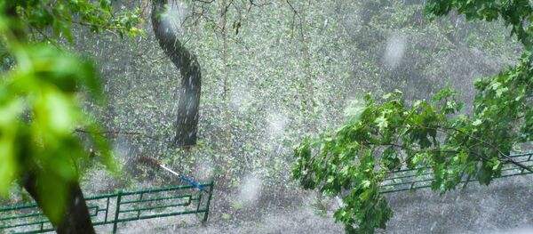 ロシア中部の悪天候は気象兵器と関係ってやっぱりデマ? ロシア中部の悪天候は気象兵器と関係ってやっぱりデマ? - Sputnik 日本