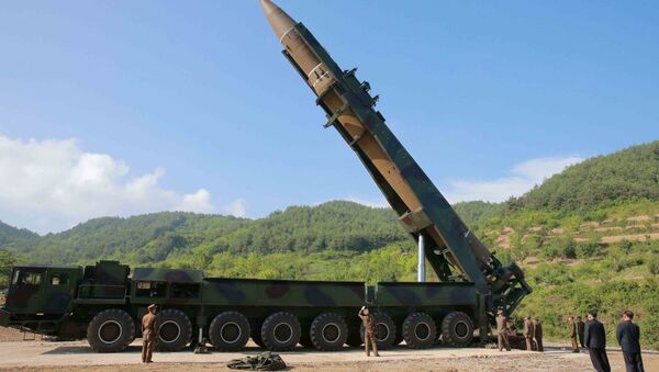 北朝鮮プルトニウム増産か　核兵器保有量が増加と米分析 - Sputnik 日本