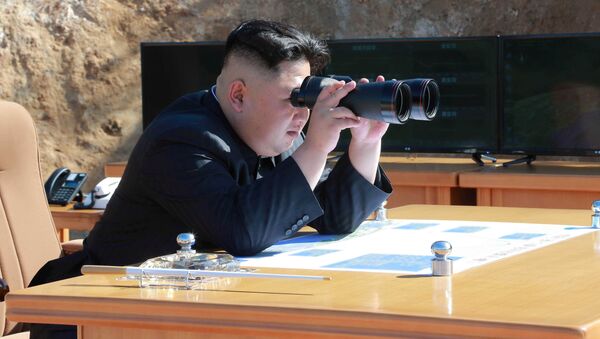 北朝鮮、潜水艦ミサイル発射実験が近く実地か　米サイト分析 - Sputnik 日本