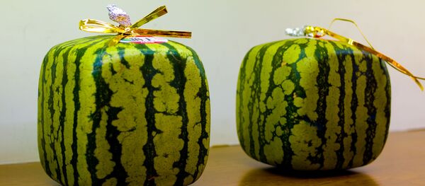 世界のＳＮＳがアンビリバボー！　日本の四角いスイカパンが感動の嵐を呼ぶ【写真】 - Sputnik 日本