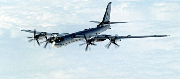 ロシアの戦略爆撃機「TU-95MS」 ロシアの戦略爆撃機「TU-95MS」 - Sputnik 日本