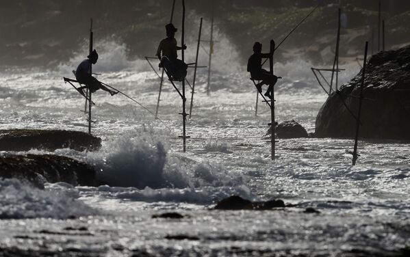 釣りをする漁師　スリランカ南ゴールで - Sputnik 日本