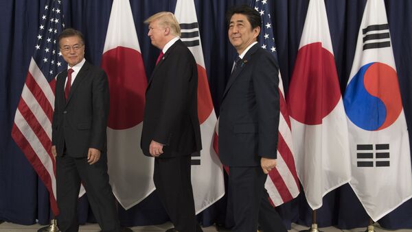 安倍首相、メルケル首相、韓国文大統領と「素晴らしい」会談=トランプ大統領 - Sputnik 日本
