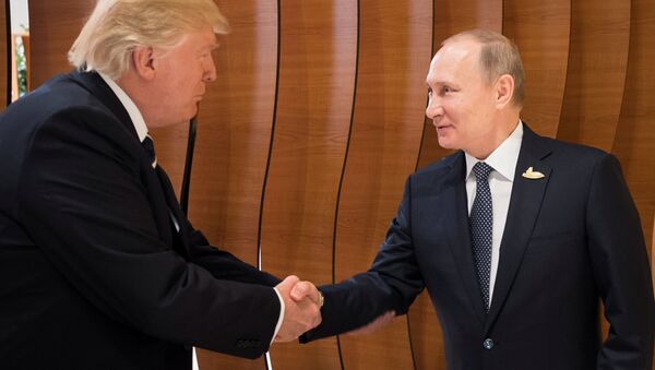 会談中のプーチン・トランプ両大統領のジェスチャーが物語るものは?　専門家の見解 - Sputnik 日本
