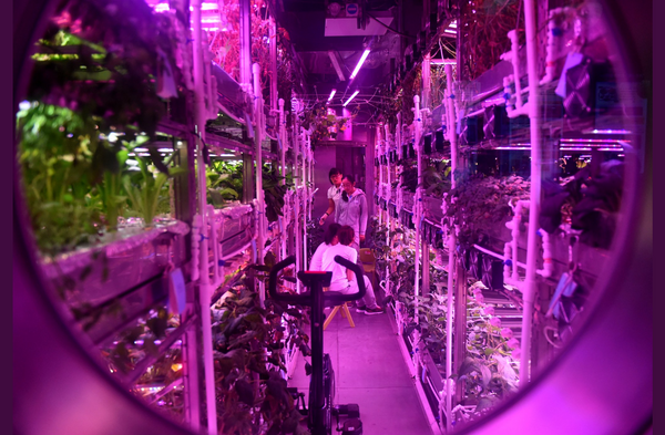 200日間の月面生活の模擬実験 北京でスタート 200日間の月面生活の模擬実験 北京でスタート - Sputnik 日本