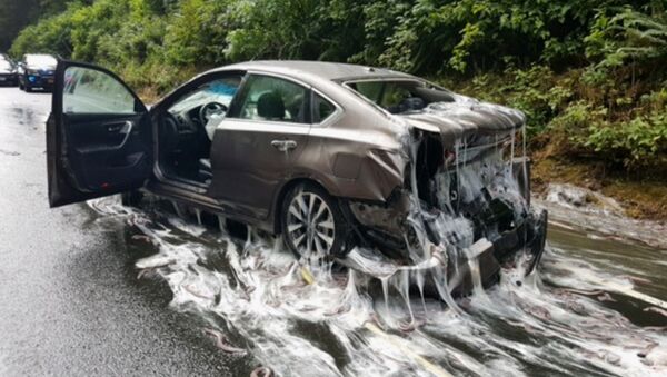 Автомобиль в слизи на месте столкновения нескольких автомобилей с грузовиком с угрями в США - Sputnik 日本
