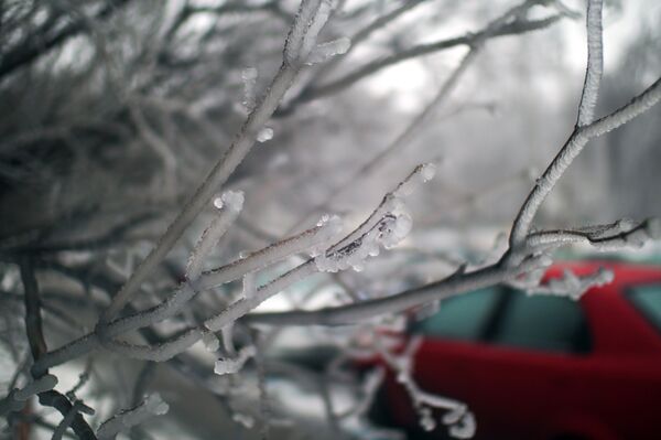 氷の雨 氷の雨 - Sputnik 日本