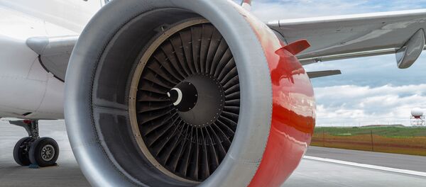 ボーイング機がハードランディング　機体が「跳ねる」瞬間を乗客が撮影【動画】 - Sputnik 日本