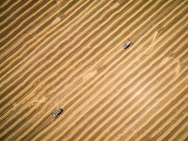 クラスノダール地方で小麦の収穫機械 - Sputnik 日本