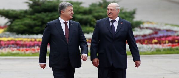ウクライナのポロシェンコ大統領とベラルーシのルカシェンコ大統領 ウクライナのポロシェンコ大統領とベラルーシのルカシェンコ大統領 - Sputnik 日本