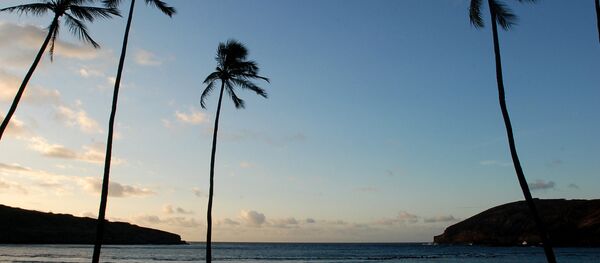 ハワイ ハワイ - Sputnik 日本