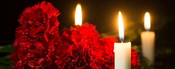 Гвоздики и свечи - Sputnik 日本