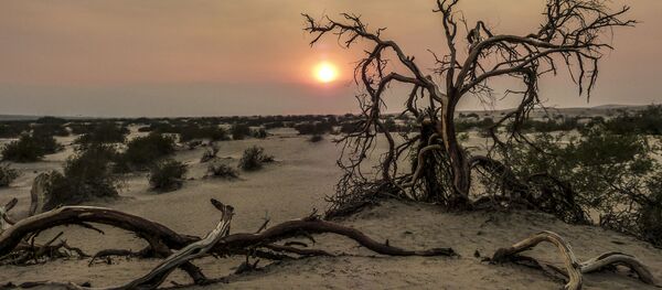米国、デスバレー - Sputnik 日本