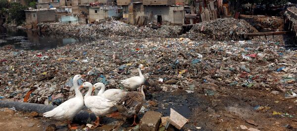 パキスタン南部のカラチ - Sputnik 日本