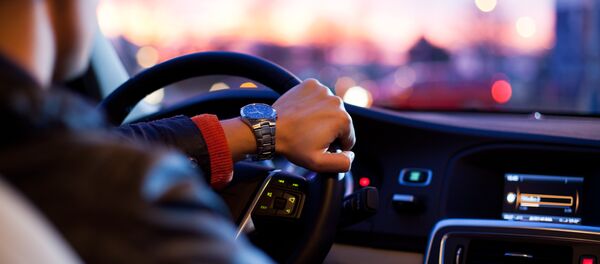 運転者 運転者 - Sputnik 日本