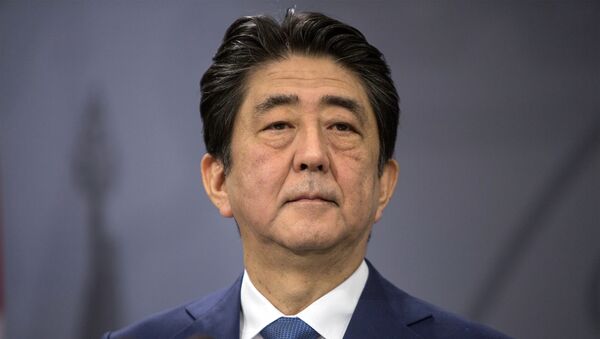 首相「救命救助全力で」と指示　政府、激甚災害指定を検討 - Sputnik 日本