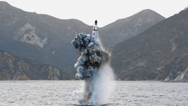 北朝鮮の潜水艦【アーカイブ写真】 - Sputnik 日本