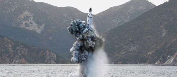 北朝鮮の潜水艦【アーカイブ写真】 - Sputnik 日本