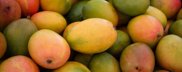 マンゴ マンゴ - Sputnik 日本