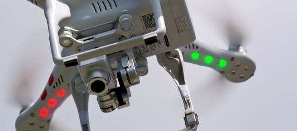 DJIドローン - Sputnik 日本