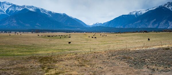 オーストラリア【アーカイブ】 オーストラリア【アーカイブ】 - Sputnik 日本