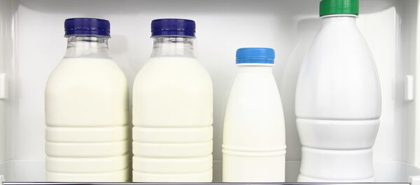 乳酸性製品 乳酸性製品 - Sputnik 日本