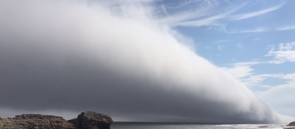カリフォルニア 奇妙な巨大雲が世紀末を想起【動画】 カリフォルニア 奇妙な巨大雲が世紀末を想起【動画】 - Sputnik 日本