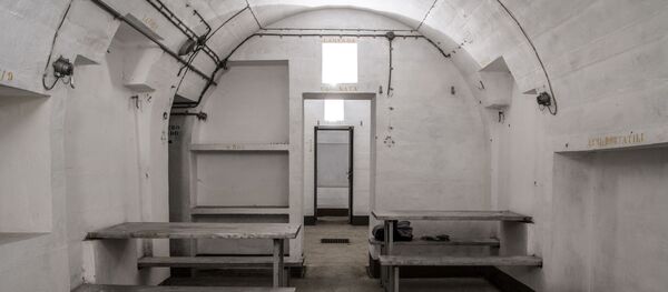 日米でシェルターの売上が伸びている 北朝鮮との関係悪化が背景に 日米でシェルターの売上が伸びている 北朝鮮との関係悪化が背景に - Sputnik 日本