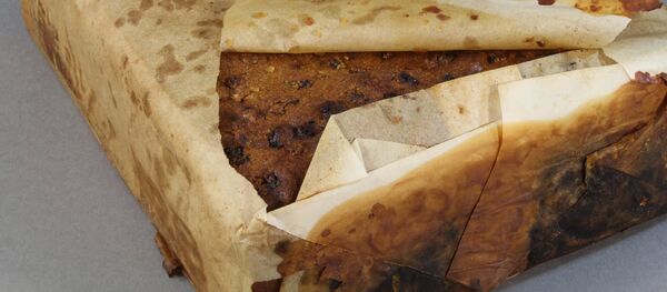 南極で１００年もののケーキが見つかる　ほぼ食べられる状態 - Sputnik 日本