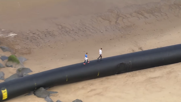 英海岸に１００メートルの巨大パイプが打ち上げられる【写真】 - Sputnik 日本