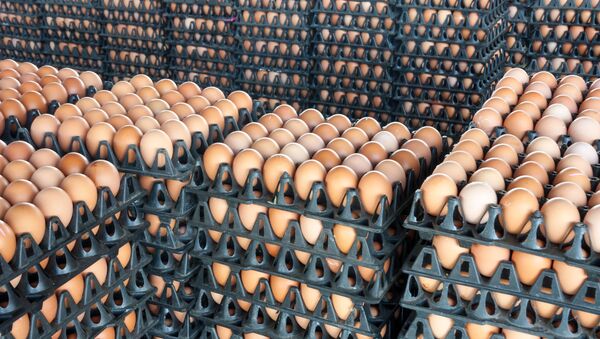 人体に危険　殺虫剤混入の卵　ＥＵ１５か国と圏外に拡大 - Sputnik 日本