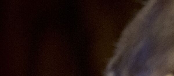 トランプ氏とマクロン氏 トランプ氏とマクロン氏 - Sputnik 日本