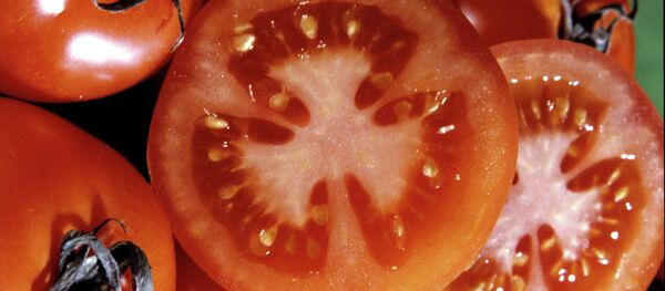 トマト トマト - Sputnik 日本