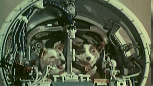 宇宙犬ベルカとストレルカ、記念すべき宇宙出発から５７周年！アーカイブの映像 - Sputnik 日本