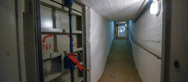 「即入居可シェルター」 日本人とロシア人は同じことを恐れている? 「即入居可シェルター」 日本人とロシア人は同じことを恐れている? - Sputnik 日本