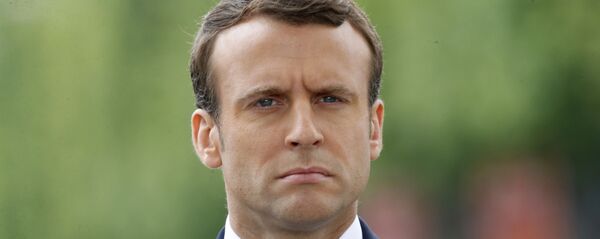 フランス、対露制裁の緩和を欧州に要求へ - Sputnik 日本