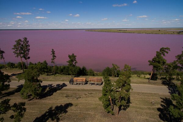 アルタイ地方ミハイロフスキー地区にあるマリーノヴォエ湖は塩辛くて苦い水を湛えている - Sputnik 日本