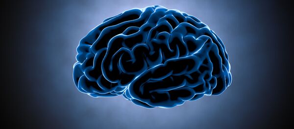 すべてを記憶する　記憶力を向上させる思いがけない４つの方法 - Sputnik 日本