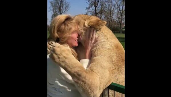 ライオンの「ママ」との感動的な対面 - Sputnik 日本