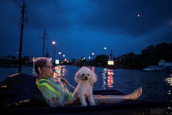 米テキサス州を襲ったハリケーン「ハービー」による洪水で、ゴムボートに乗って救助を待つ高齢女性と飼い犬のプードル - Sputnik 日本