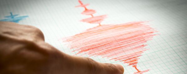 地震計(アーカイブ) 地震計(アーカイブ) - Sputnik 日本