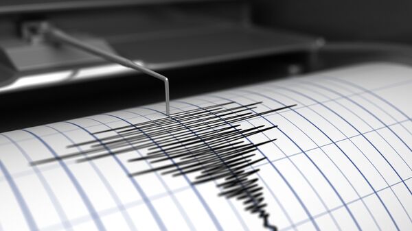 カムチャツカ半島沖でM4.9の地震発生 - Sputnik 日本