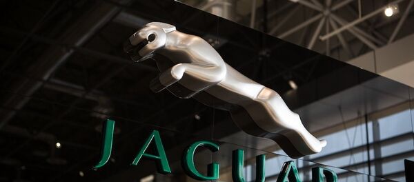 ジャガー、人工知能を備えたハンドルをつくる【写真】 ジャガー、人工知能を備えたハンドルをつくる【写真】 - Sputnik 日本